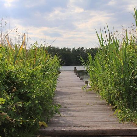 Moderne Und Helle Ferienwohnung Am Ploener See Bosau Exteriör bild